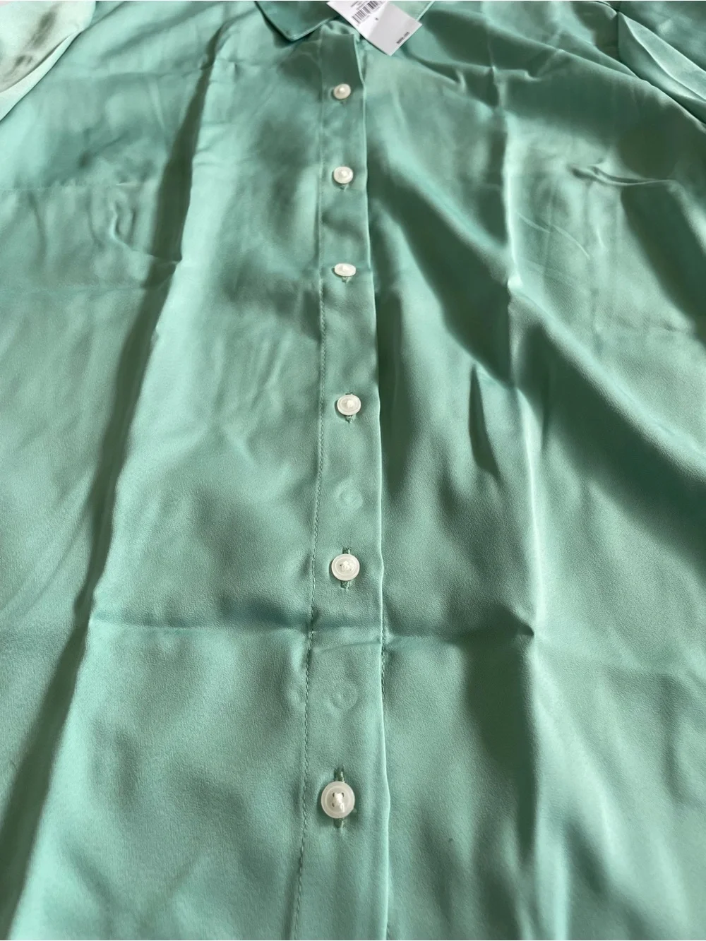 Banana Republic Mint Green Long-Sleeve Button-Up Shirt